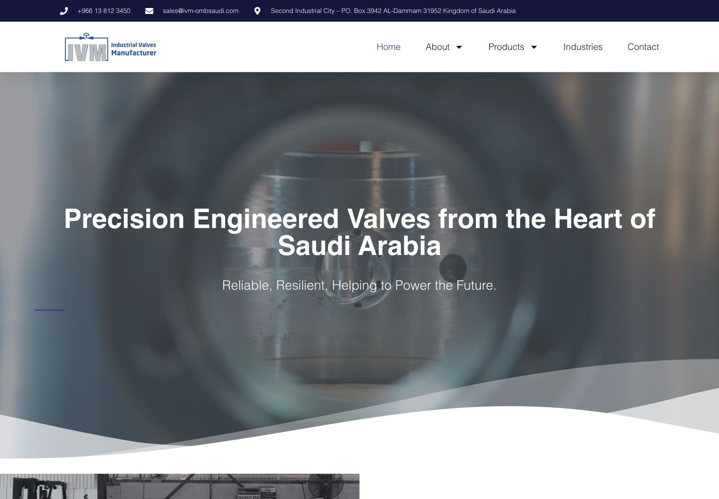 IVM – OMB Saudi website preview